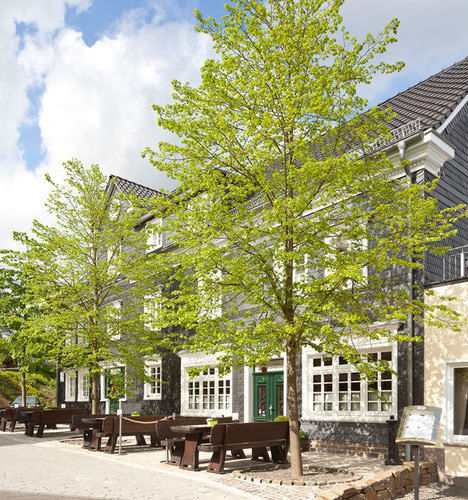 Hotel Zu Den Drei Linden Wermelskirchen Exterior foto